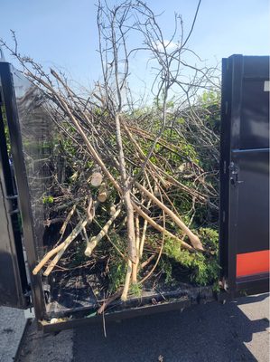 Light Yard Debris Cleanup - We are a locally owned and operated junk removal company serving Gwinnett County, Georgia, proudly helping homeowners, landlords, property managers, and small businesses clear out clutter and reclaim their space.