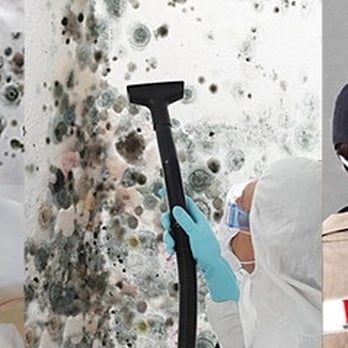 D & R Select Construction - Testing, removal & remediation of mold! - General Contractors Near Me - Palm Springs, California D & R Select Construction - Testing, removal & remediation of mold! - General Contractors Near Me - Palm Springs, California