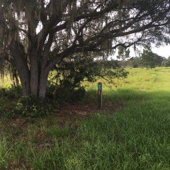 Split Oak Forest - Some pathways are marked. Others not so much - Hiking Near Me - Orlando, Florida
