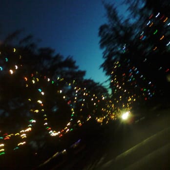 Christmas Tree Lane 138 Photos 102 Reviews Christmas Trees Altadena Ca Phone Number Yelp