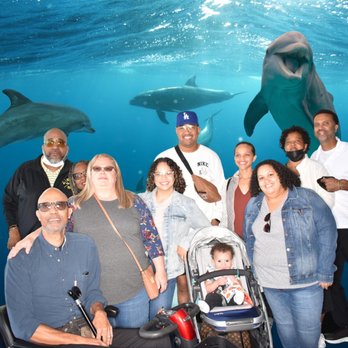 Mobility Georgia - Mobility aids keep families enjoying the world together. - Mobility Equipment Sales & Services Near Me - Smyrna, Georgia Mobility Georgia - Mobility aids keep families enjoying the world together. - Mobility Equipment Sales & Services Near Me - Smyrna, Georgia