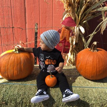 Vertuccio Farms - First time at the Vertuccio Farms pumpkin patch for our little Zachary. - Farmers Market Near Me - Mesa, Arizona Vertuccio Farms - First time at the Vertuccio Farms pumpkin patch for our little Zachary. - Farmers Market Near Me - Mesa, Arizona
