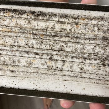 Lake House - Black mold. If you have a pet or a family member you care about and don't want to harm them, don't live here. - Apartments Near Me - Davenport, Florida Lake House - Black mold. If you have a pet or a family member you care about and don't want to harm them, don't live here. - Apartments Near Me - Davenport, Florida
