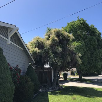 Stumpy's Tree Service - Tree Services Near Me - Livermore, California Stumpy's Tree Service - Tree Services Near Me - Livermore, California