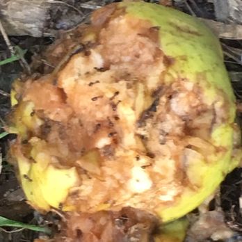 Ochs Orchard - Fruits & Veggies Near Me - Warwick, New York