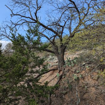 Old Zoo Nature Trails - Hiking Near Me - TX, Texas Old Zoo Nature Trails - Hiking Near Me - TX, Texas