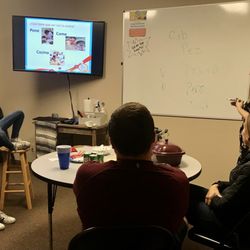 Zinta Inspired Language - A family language class!