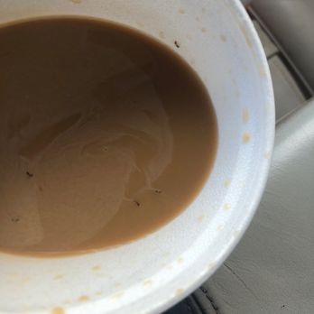 Donut Palace - Don't get the French vanilla coffee. There's ants.. - Donuts Near Me - San Antonio, Texas Donut Palace - Don't get the French vanilla coffee. There's ants.. - Donuts Near Me - San Antonio, Texas