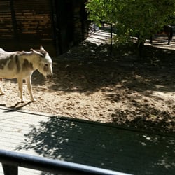 Tierpark Sassnitz
