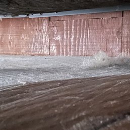 It clearly hasn't been cleaned in ages.