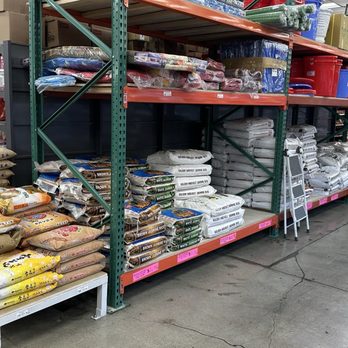 Dai Thanh Supermarket - International Grocery Near Me - San Jose, California