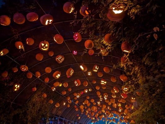 Six Flags Fiesta Texas by null