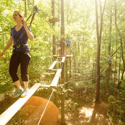 Go Ape
