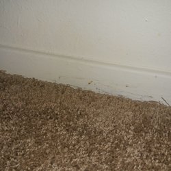 Sunset Apartments - Mold from the AC backing up into my apartment the management claimed was "normal", flooding is NOT NORMAL.
