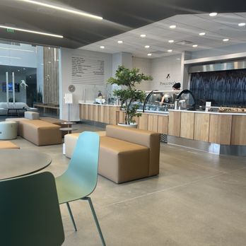 Pinguino's Gelato - Gelato Near Me - Provo, Utah Pinguino's Gelato - Gelato Near Me - Provo, Utah