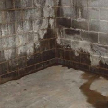 Morgan Basement Waterproofing - Water leaking through cement block foundation - Waterproofing Near Me - Malvern, Pennsylvania Morgan Basement Waterproofing - Water leaking through cement block foundation - Waterproofing Near Me - Malvern, Pennsylvania