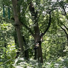 TREETOP QUEST PHILLY - Updated December 2025 - 54 Photos & 49