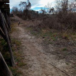 Jackson Park Dog Park - Looking left as you come under the Trestle, the opposite direction of the creek