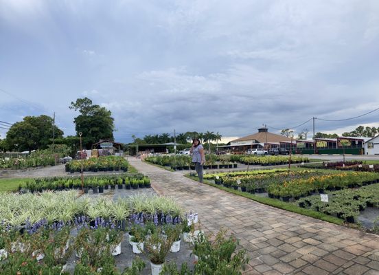 Rorabeck's Plants & Produce Inc by null