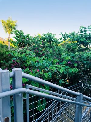 Palomar College by null