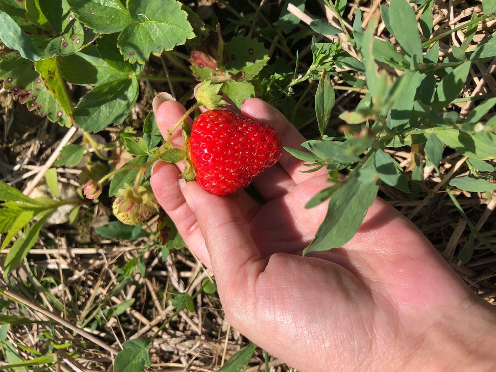 THOMPSON FINCH FARM Updated September 2024 750 Wiltsie Bridge Rd