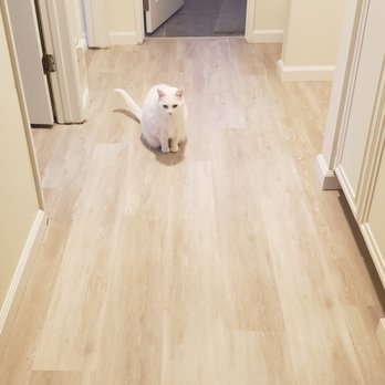Abbey Carpet & Floor - Even Coco loves our beautiful new floors! - Carpeting Near Me - Santa Maria, California Abbey Carpet & Floor - Even Coco loves our beautiful new floors! - Carpeting Near Me - Santa Maria, California