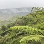 Photo of Waimangu Volcanic Valley