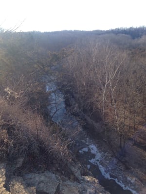 Rock Bridge Memorial State Park by null