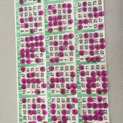 Flamingo Bingo