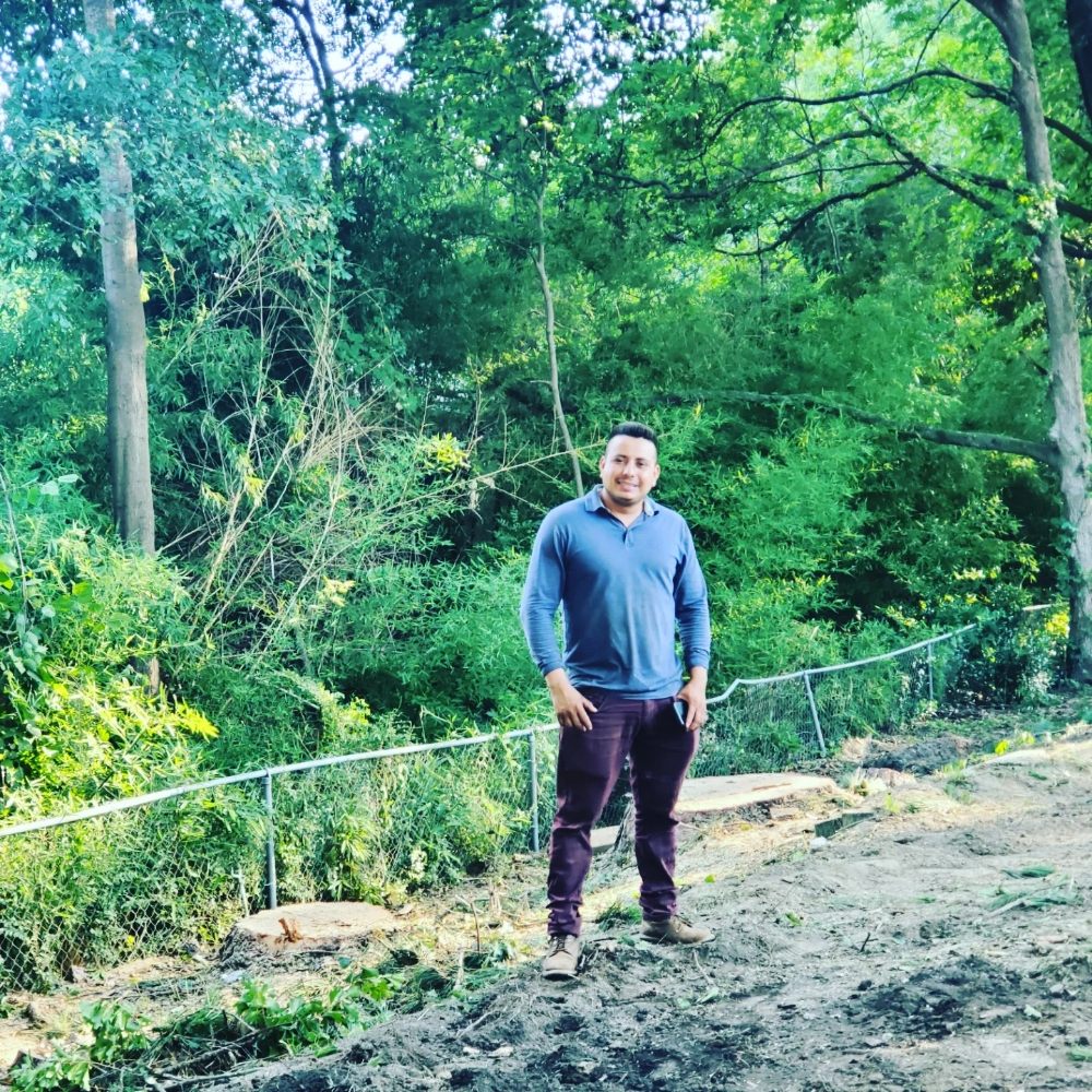 O&S Tree Services - tree service in Atlanta, GA