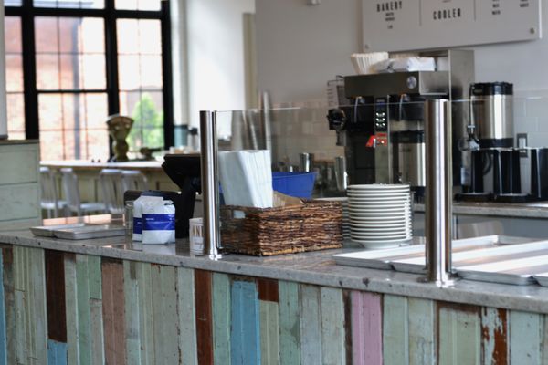 KNEAD Doughnuts by null