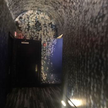 The Sacred Pepper - Hallway to restroom - New American Near Me - Tampa, Florida The Sacred Pepper - Hallway to restroom - New American Near Me - Tampa, Florida