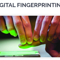Truevine Biometrics Services