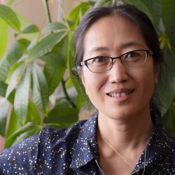 Zhaohui Meng, Lic. Ac