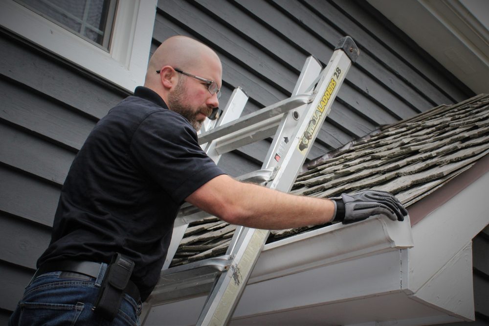 North Star Inspection Services - mold inspector in St. Charles, IL