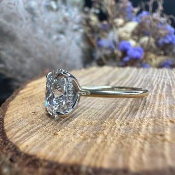 Sarah Poursh Designs - Jewelry Near Me