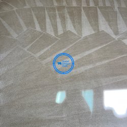 SoCal Carpet Care - Beautiful clean carpet in Irvine