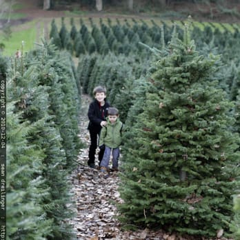 LARSEN'S EVERGREEN CHRISTMAS TREE FARM - Updated June 2026 - 16