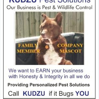 Kudzu Pest Solutions - 404-277-6178 KUDZU - Pest Control Near Me - Alpharetta, Georgia Kudzu Pest Solutions - 404-277-6178 KUDZU - Pest Control Near Me - Alpharetta, Georgia