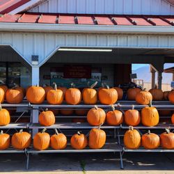 Miller Farms