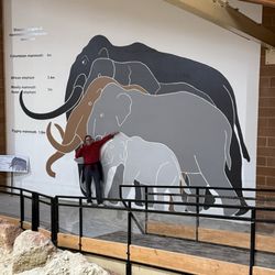 The Mammoth Site