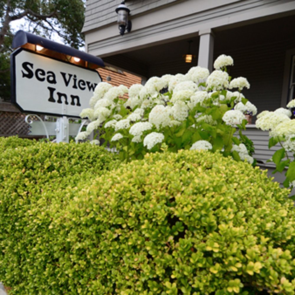 Sea View Inn - The inviting sign and flowers out front - Hotels Near Me - Carmel, California