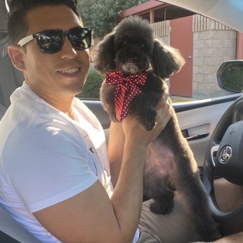 Perfect Pet Salon - Lola hair cut - Pet Groomers Near Me - Concord, California Perfect Pet Salon - Lola hair cut - Pet Groomers Near Me - Concord, California