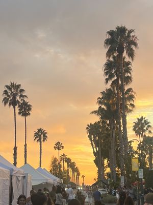 California Avocado Festival by null