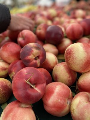 Alemany Farmer's Market by null