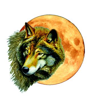WhisperingEagle Nuisance Wildlife Control - Wildlife Control Near Me WhisperingEagle Nuisance Wildlife Control - Wildlife Control Near Me