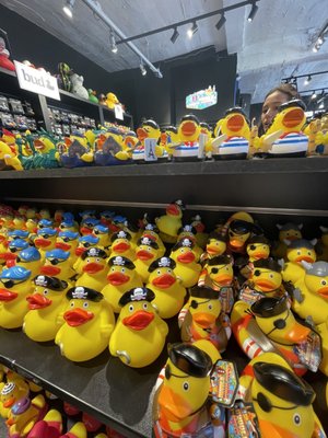 Amsterdam Duck Store by null