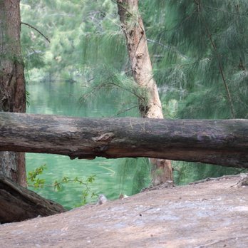 Wolf Lake Park - Parks Near Me - Davie, Florida