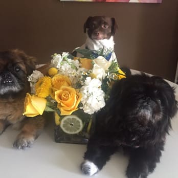 Magical Blooms - Beautiful arrangement I just received! - Florists Near Me - Redondo Beach, California Magical Blooms - Beautiful arrangement I just received! - Florists Near Me - Redondo Beach, California