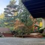 Weasels Tree Service and Landscaping